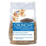 Crunchy Con Avena E Semi Di Chia Biologico 375g