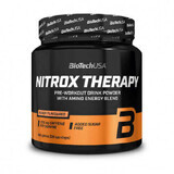Nitrox Therapy Cranberry, 340 g, Biotech USA