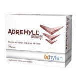 Adrehyll adulti, 10 buste, Hyllan