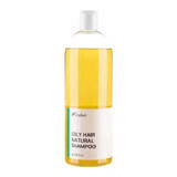 Shampoo naturale per capelli grassi, 1000 ml, Sabio