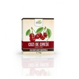 Tè di coda di ciliegia, 50 g, pianta di Dorel