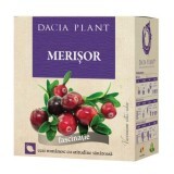 Tè al mirtillo rosso, 30g, pianta di Dacia