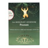 Tè alla prostata, 165g, pianta aromatica