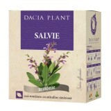Tè alla salvia, 50g, pianta di Dacia