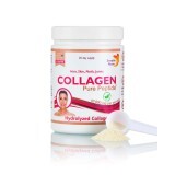 Polvere di collagene idrolizzato 10.000 mg di super concentrato di tipo 1 e 3, 300 g, Sweedish Nutra