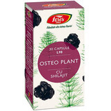 Osteo Plant con Shilajit L98, 30 capsule, Fares