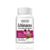 Echinacea con sambuco e geranio africano 700 mg, 30 capsule, Zenyth