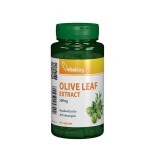 Estratto di foglie di olivo standardizzato 500 mg, 60 capsule, VitaKing