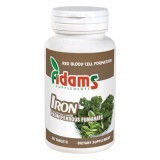 Ferro 14 mg, 90 compresse, Adams Vision