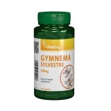 Gymnema Sylvestre 400 mg, 90 capsule, VitaKing