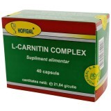 Complesso L-Carnitina, 40 capsule, Hofigal