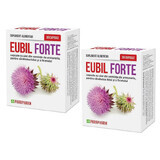 Confezione Eubil Forte, 30 capsule + 30 capsule, Parapharm