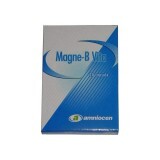 Magne-B Vita, 20 capsule, Amniocen