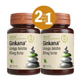 Confezione Ginkana Ginko Biloba Forte 80 mg, 30 compresse, Alevia (1+1)