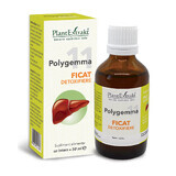Polygemma 11 Disintossicazione del fegato, 50 ml, PlantExtrakt