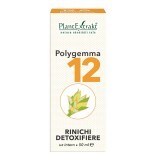 Polygemma 12, Disintossicazione renale, 50 ml, PlantExtrakt