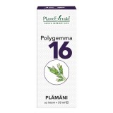 Polygemma 16, Polmoni, 50 ml, PlantExtrakt