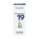 Polygemma 19 Glicemia, 50 ml, Estratto Vegetale