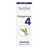 Polygemma 4, seni, 30 ml, PlantExtrakt