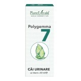 Polygemma 7, tratto urinario, 50 ml, PlantExtrakt