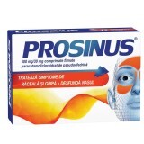 Prosinus 500mg/30mg, 20 compresse rivestite con film, Fiterman Pharma