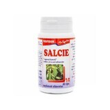 Salice, 40 capsule, Favisan
