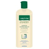 Shampoo Antiforfora con Ittiolo, Gerovital Tratament Expert, 250 ml, Farmec