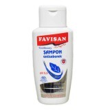 Shampoo antiseborroico con zinco, betulla, ortica e vetiver. B6, 200ml, Favisan