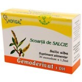 Corteccia di salice Gemoderivat, 30 monodosi, Hofigal