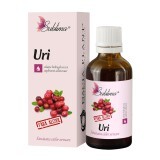 Soluzione idroglicerica senza alcool Uri Sublima, 50 ml, Dacia Plant