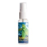 Spray orale Mentolin, 25 ml, Transvital