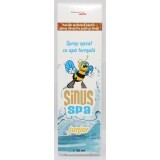 Spray nasale con acqua termale Sinus Spa junior, 30 ml, Phenalex