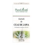 Tintura di tè Jawa, 120 ml, estratto vegetale