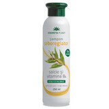 Shampoo seboregolatore al salice e complesso vitaminico B, 250 ml, Vegetale cosmetico