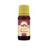 Olio essenziale di chiodi di garofano, 10 ml, Herbavit