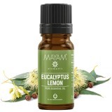 Olio essenziale di eucalipto citronato, 10 ml, Mayam