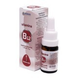 VITAMINA B12 Soluzione orale, 10 ml, Renans