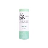 Deodorante stick naturale Mighty Mint, 65 grammi, We Love The Planet