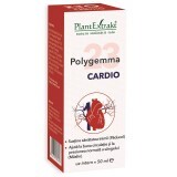 Polygemma 23 Cardio, 50 ml, estratto vegetale