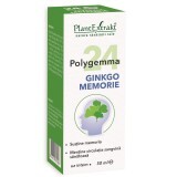 Polygemma 24 Ginkgo Memory, 50 ml, PlantExtrakt