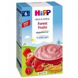 Latte e cereali con frutti di bosco, +6 mesi, 250 gr, Hipp