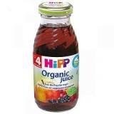 Succo di frutti rossi, +4 mesi, 200 ml, Hipp