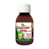 Sciroppo Gascure, 100 ml, Ayurmed