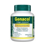 Genacol Plus Glucosamina, 90 capsule, Darmaplant