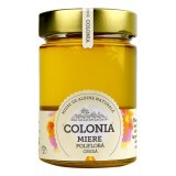 Miele crudo di ploriflora Colonia, 420 g, Miele Evicom