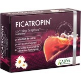 Ficatropin, 30 capsule, Adya Green