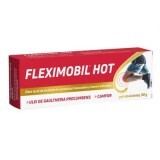Gel emulsionato a caldo Fleximobil, 50 g, Fiterman Pharma