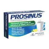 Prosinus 600 mg/12,2 mg polvere per soluzione orale, 10 bustine, Fiterman Pharma