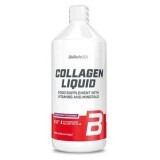 Collagene liquido, 1l, BioTech USA