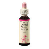 Gocce di rimedio floreale di Larch Original Bach, 20 ml, Rescue Remedy